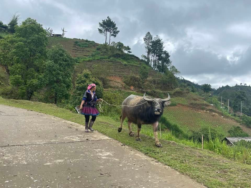 Northwest Vietnam Cycle Trip Sapa to Hanoi 7 Days